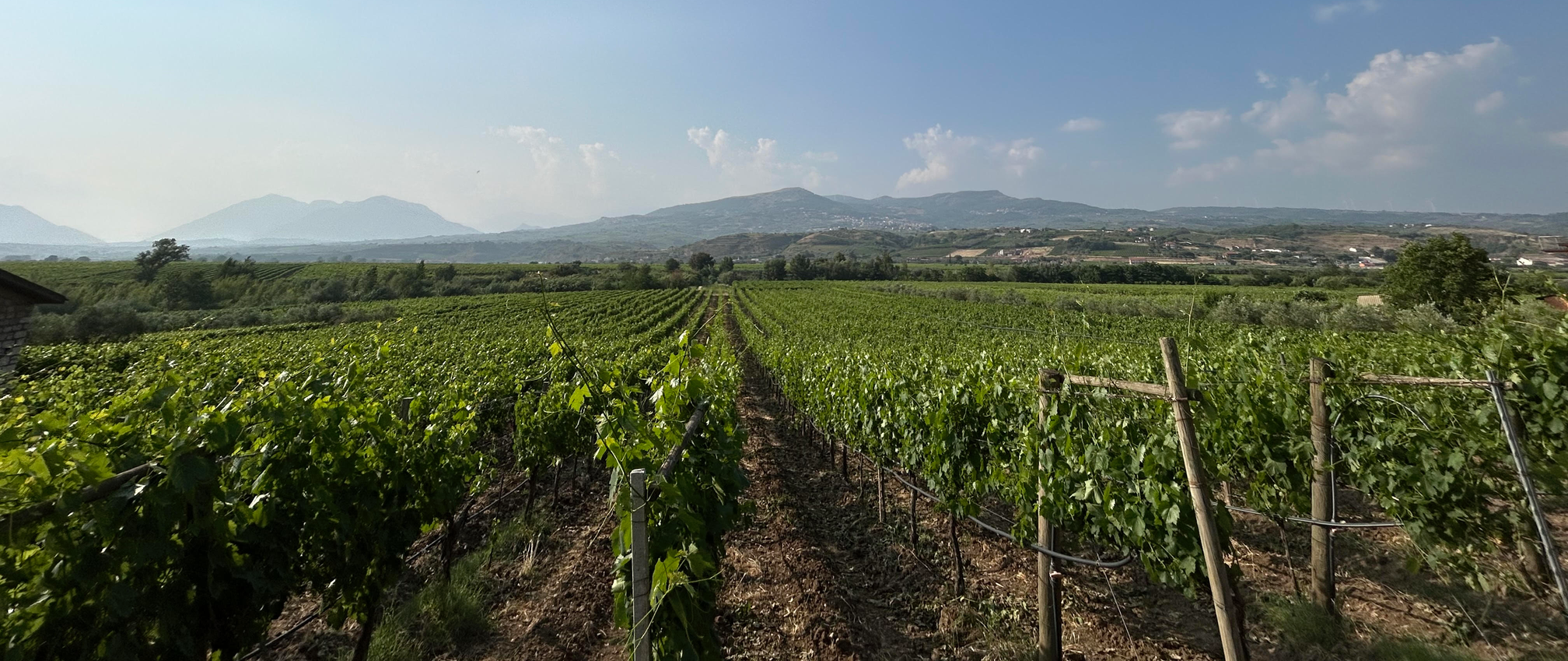 Il territorio
